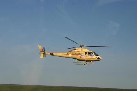 As355 F1